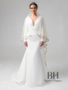 Long veil with shimmering edging in cappuccino color