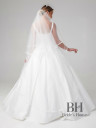 Long two tiered veil with shimmer